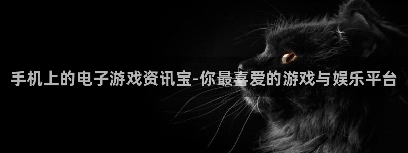 赢咖娱乐在线登录：手机上的电子游戏资讯宝-你最喜爱的游戏与娱