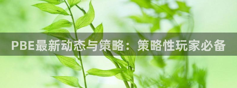 赢咖娱乐注册网站：PBE最新动态与策略：策略性玩家必备