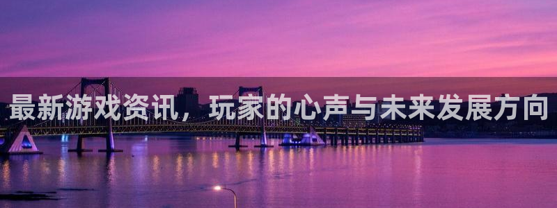 赢咖娱乐注册测速：最新游戏资讯，玩家的心声与未来发展方向
