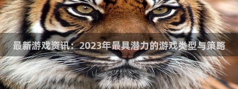 赢咖娱乐游戏：最新游戏资讯：2023年最具潜力的游戏类型与策
