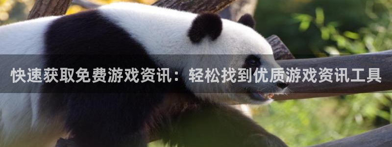 赢咖娱乐直属：快速获取免费游戏资讯：轻松找到优质游戏资讯工具