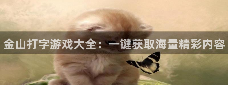 赢咖娱乐网页登录入口官网：金山打字游戏大全：一键获取海量精彩