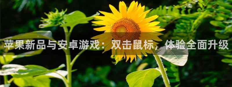 赢咖7ii2扣费详情和还款方式：苹果新品与安卓游戏：双击鼠标