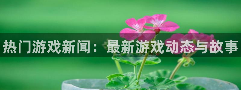 赢咖集团背景和背景：热门游戏新闻：最新游戏动态与故事