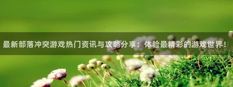 赢咖5盛煌平台：最新部落冲突游戏热门资讯与攻略分享：体验最精