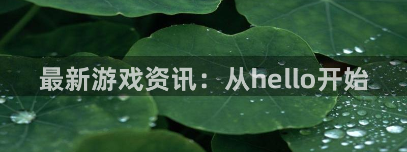 赢咖娱乐主管：最新游戏资讯：从hello开始