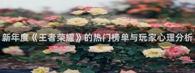 赢咖娱乐注册登录：新年度《王者荣耀》的热门榜单与玩家心理分析