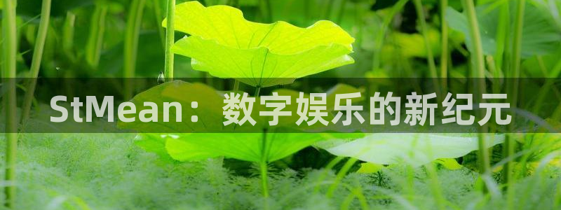赢咖娱乐app下载：StMean：数字娱乐的新纪元
