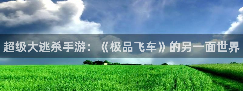 赢咖娱乐科技：超级大逃杀手游：《极品飞车》的另一面世界